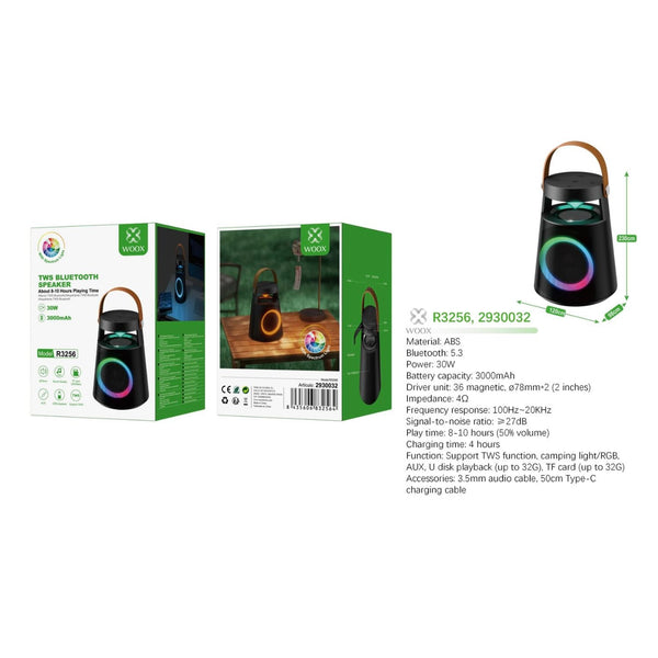 TWS BLUETOOTH SPEAKER 30W - R3256